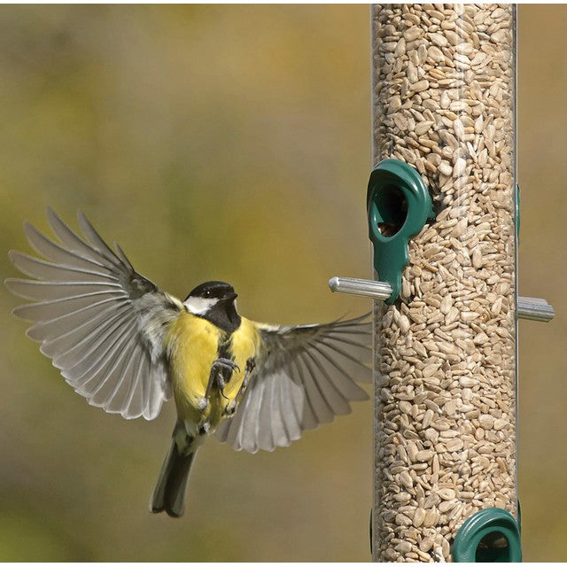 RSPB sunflower hearts bird food 1.8kg, imported from the UK