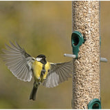 RSPB sunflower hearts bird food 1.8kg, imported from the UK