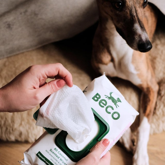 Beco Pets bamboo dog wipes coconut scented 80 pack - British product