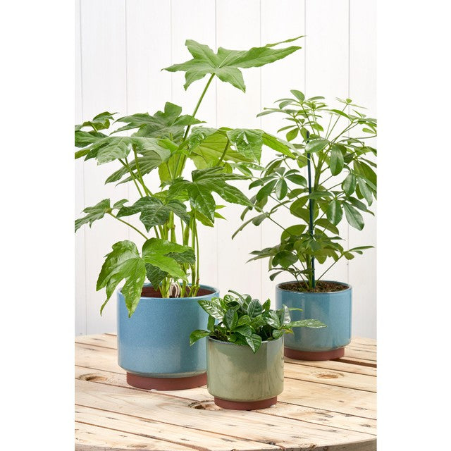 Burgon & Ball Malibu Blue Extra Large indoor plant pot - British product