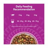 Whiskas 1+ salmon adult dry cat food 1.9kg (British brand)