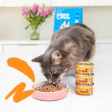 Edgard & Cooper adult cat chunks in sauce 24x85g - British product