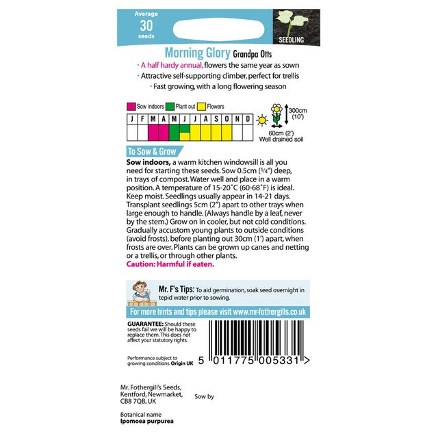 Mr Fothergills Seeds Morning Glory Flower Seeds, imported from the UK