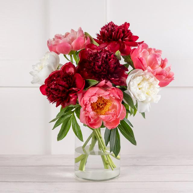 Mixed Peony Abundance