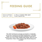 Gourmet wet cat food duck and turkey casserole 85g, UK version