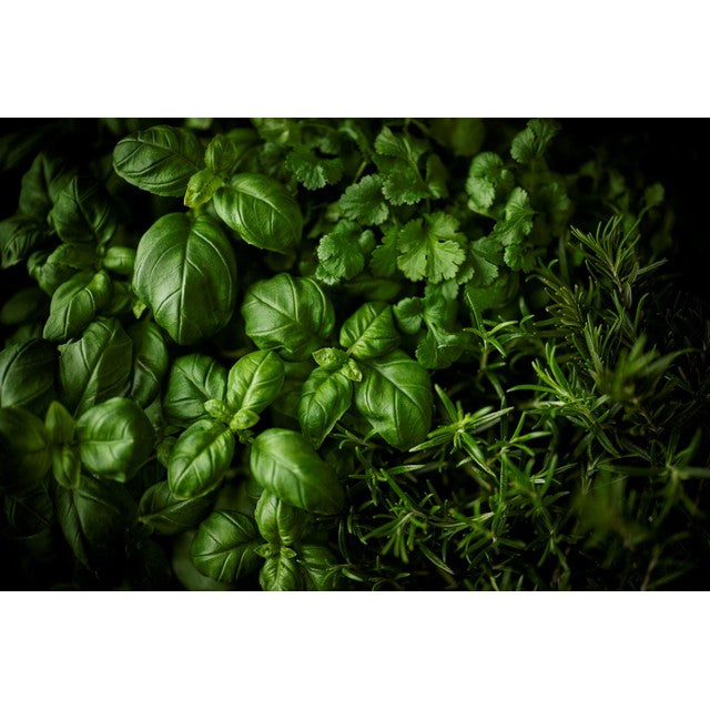M&S large basil 100g - British product