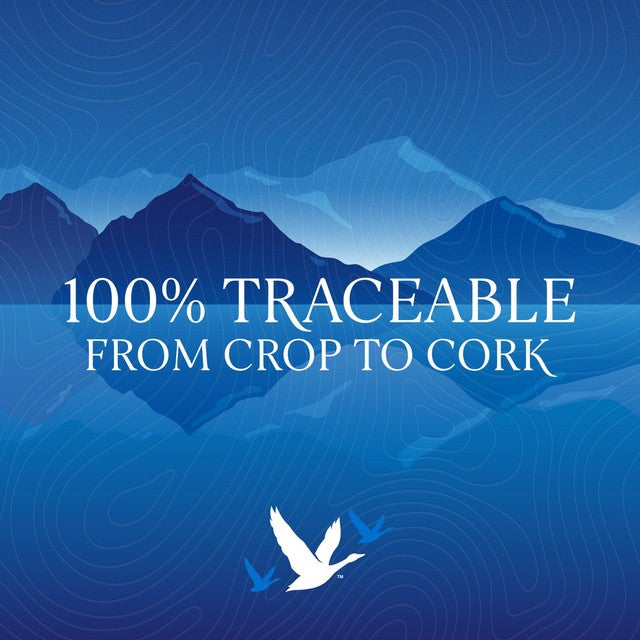 Grey Goose vodka 70cl, UK version