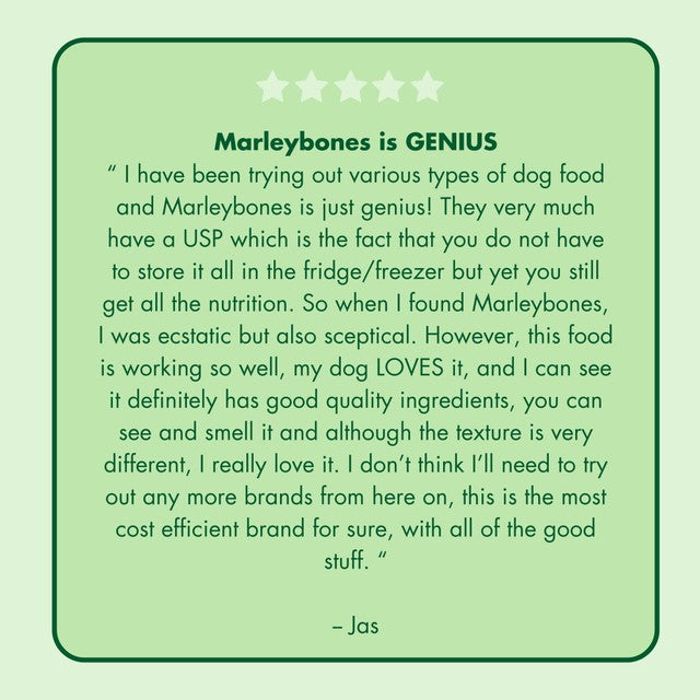 Marleybones wet dog food Lamb & Superfoods 390g, imported from the UK