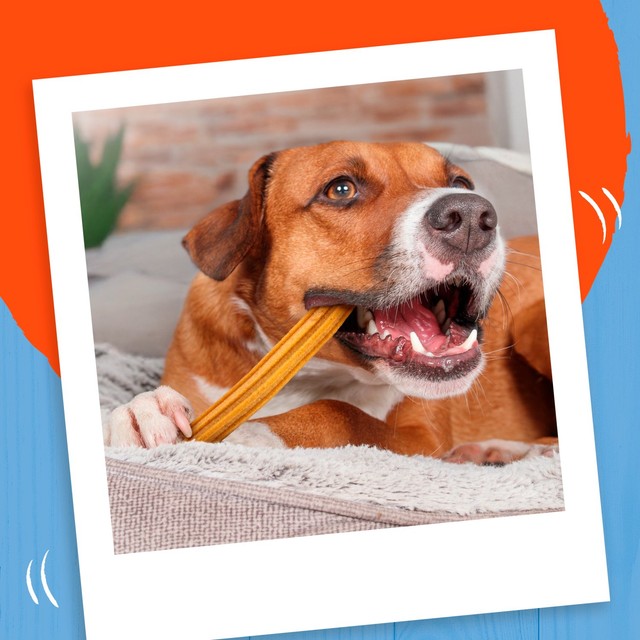 Bakers Dental Delicious Large Chicken dog chews 270g - British product
