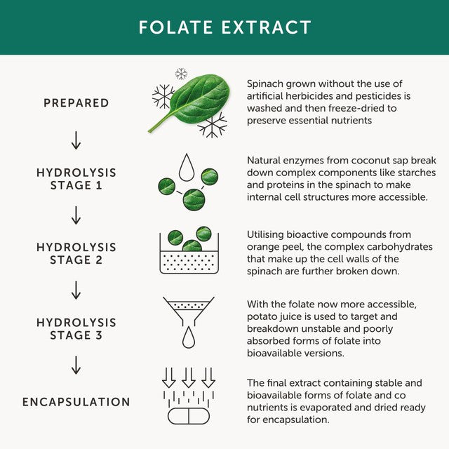 Together Health folate natural folic acid 400 mcg supplement 30 capsules (British brand)