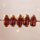 Jolly Hog Pigs in Blankets with Treacle Cured Bacon 210g (British brand)