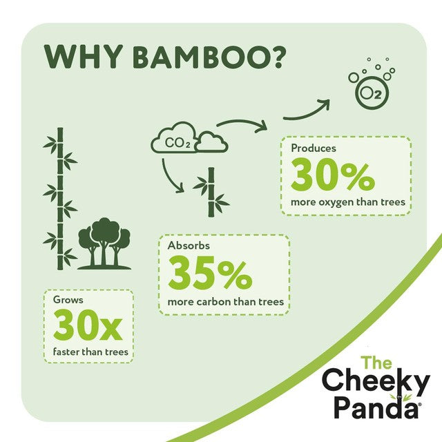 Cheeky Panda bamboo pocket tissue 10 pack - British product