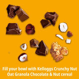 Kellogg's Crunchy Nut hazelnut and chocolate granola 380g, UK version