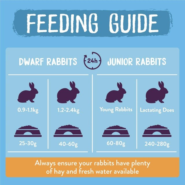 Burgess Excel Junior & Dwarf Rabbit Nuggets with Mint 3kg - British product