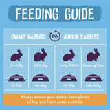 Burgess Excel Junior & Dwarf Rabbit Nuggets with Mint 3kg - British product