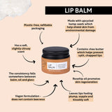 UpCircle lip balm with hemp seed oil and shea butter 15ml (British brand)
