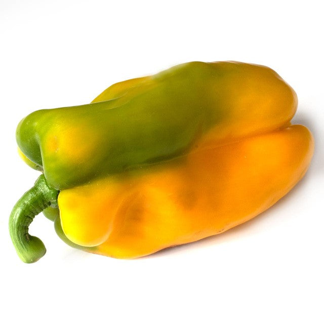 Natoora large yellow and green pepper, imported from the UK