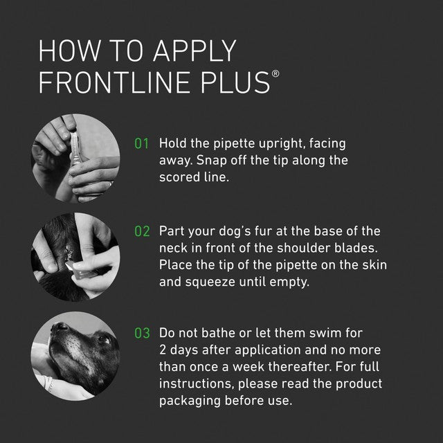 Frontline Plus flea and tick treatment for medium dogs 10-20kg - British product