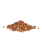 Peckish wild bird peanuts 2kg pouch bag (British brand)