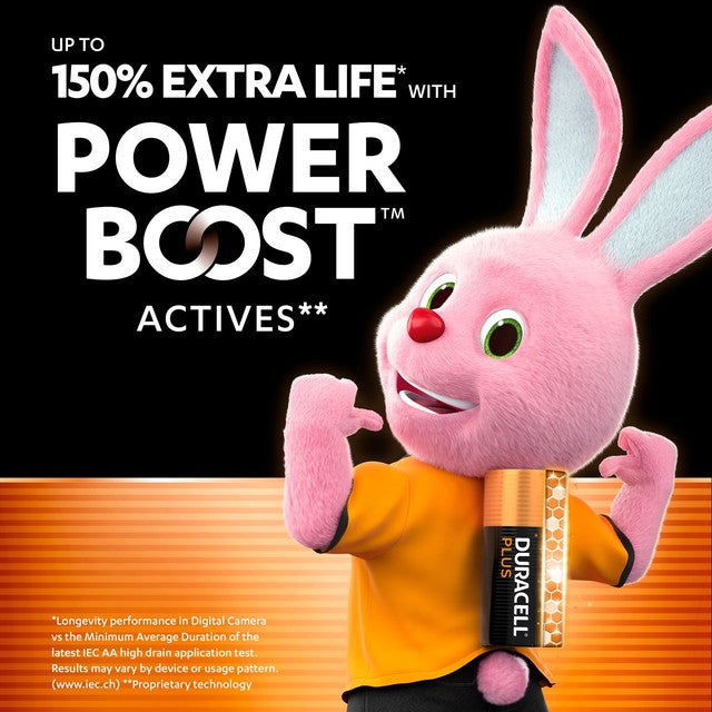 Duracell AA alkaline batteries 12 pack - British product