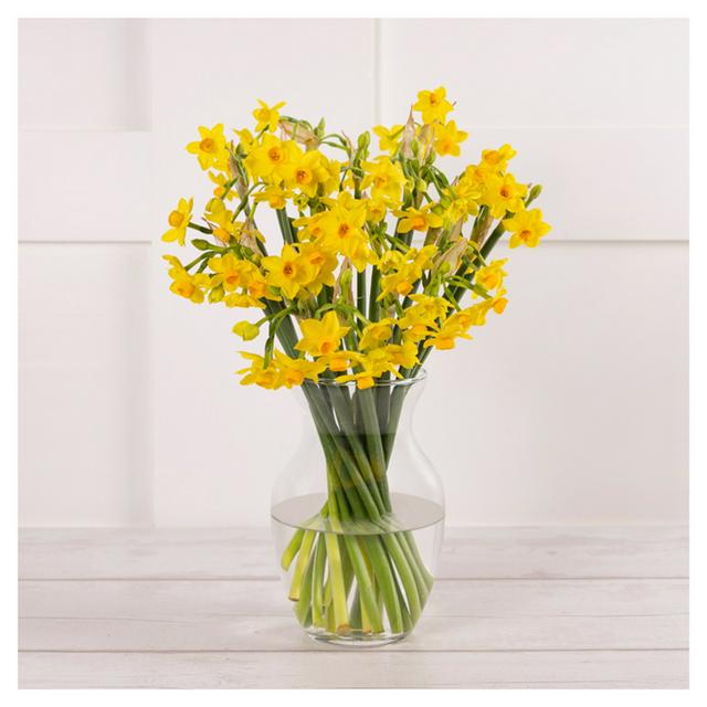 Sainsburys Speciality Daffodils