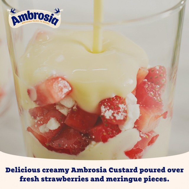 Ambrosia Devon custard 500g carton - British product
