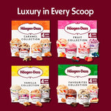 Häagen-Dazs Fruit Collection mini cups ice cream 4x95ml, UK version