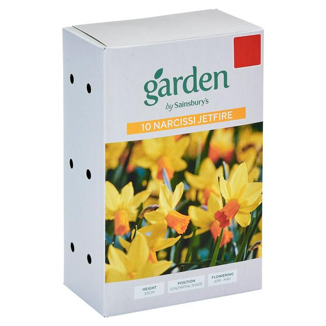 Sainsburys Garden Miniature Narcissi Jetfire x10