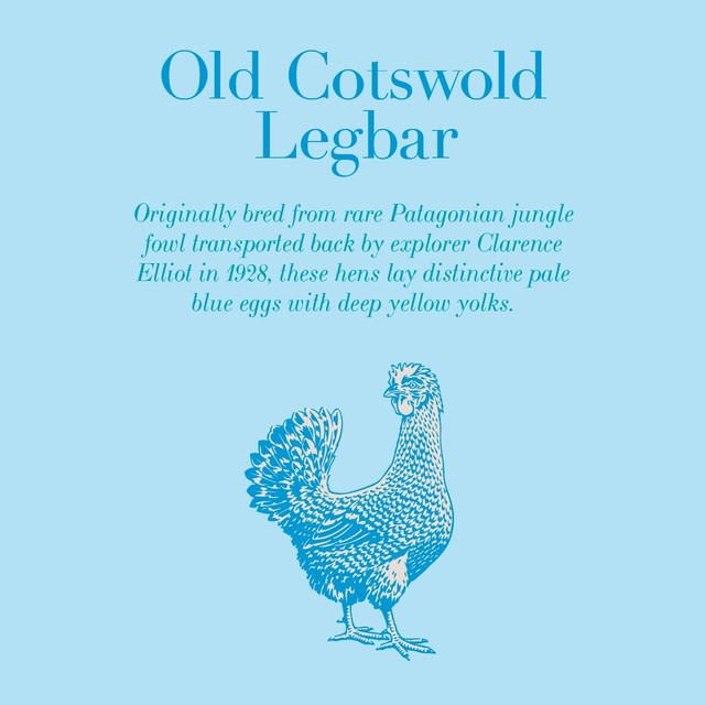 Clarence Court Cotswold Legbar eggs 6 pack - British product