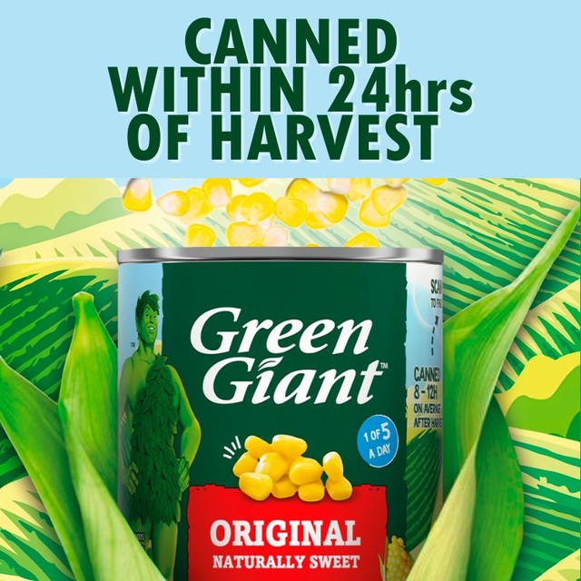 Green Giant Original Sweetcorn canned sweetcorn 3 x 340g, UK version