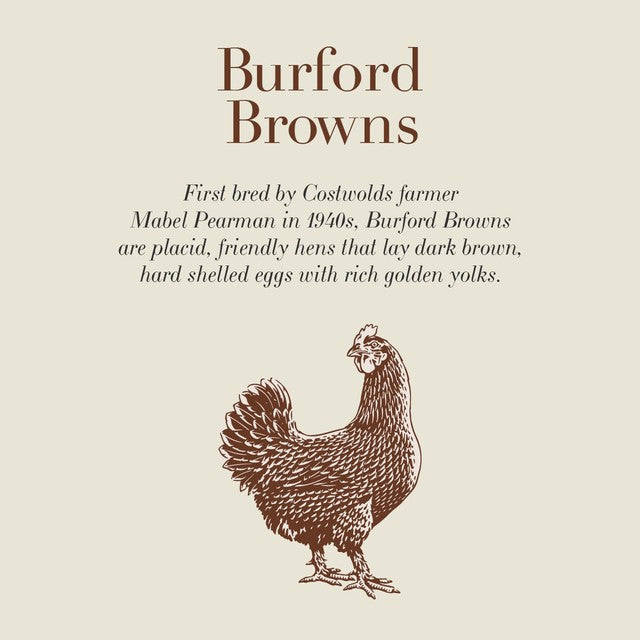 Clarence Court Burford Brown Large Free Range Eggs 10 Tray - British product