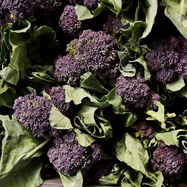 Natoora purple sprouting broccoli 225g, imported from the UK