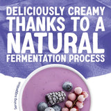 Alpro blueberry soya yoghurt alternative 500g - British product