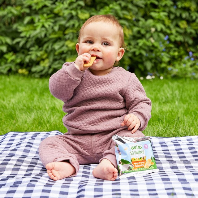 Heinz chocolate biscotti baby snacks 60g, UK version