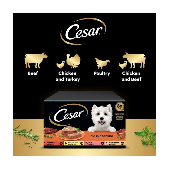 Cesar mixed flavour wet dog food trays 8 x 150g - British product