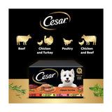 Cesar mixed flavour wet dog food trays 8 x 150g - British product
