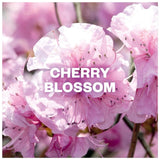 Airwick Pure Air Freshener Cherry Blossom 250ml - British product
