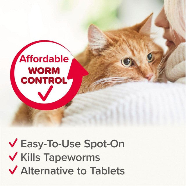 Beaphar WORMclear Spot-On for Cats - British product