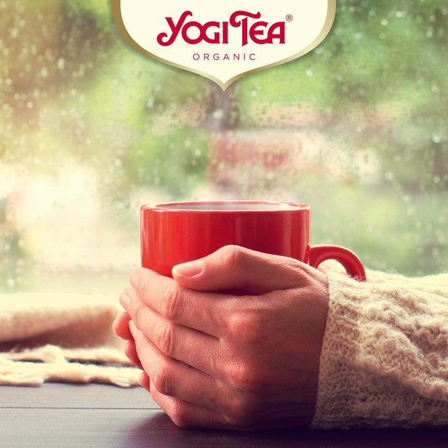 Yogi Tea Organic Ginger Lemon tea pack (British brand)