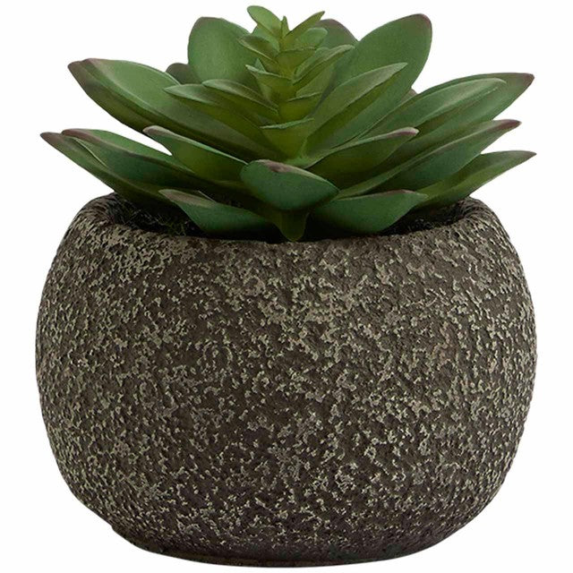 M&S green artificial succulent pot one size, imported from the UK