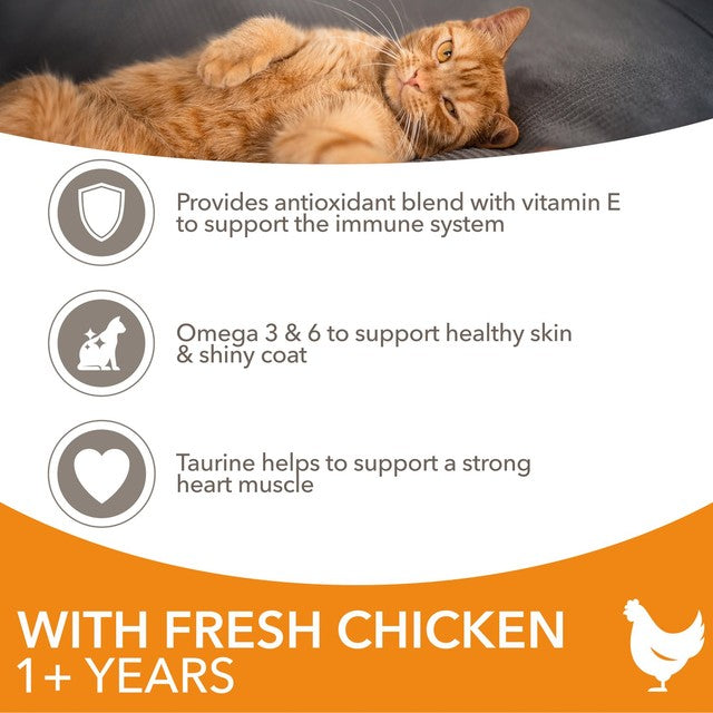 Iams dry cat food with fresh chicken 800g, UK version
