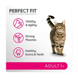 Perfect Fit salmon dry cat food 750g, imported from the UK