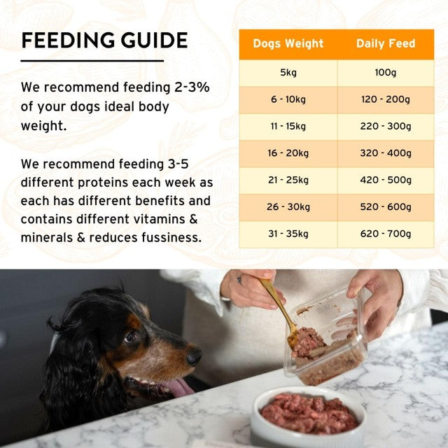 Benyfit Natural chicken raw dog food 1kg - British product