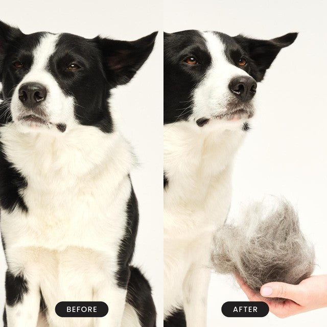 Tangle Teezer de-shedding brush for small dogs, imported from the UK