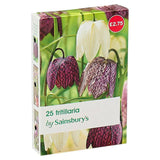 Sainsburys Fritillaria Bulbs x25