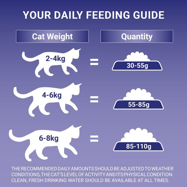 Purina ONE sensitive turkey and rice dry cat food 2.8kg, imported from the UK