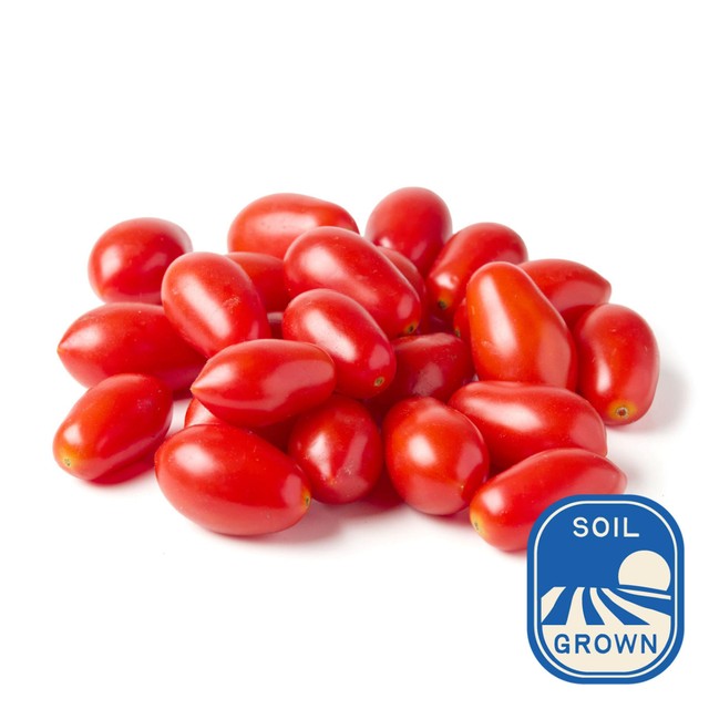 Natoora Sicilian Datterini tomatoes 200g, imported from the UK