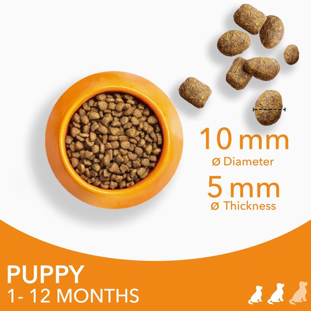 Iams fresh chicken puppy food for small medium breeds 2kg, UK version