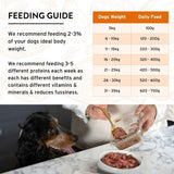 Benyfit Natural tasty turkey raw dog food 1kg - British product