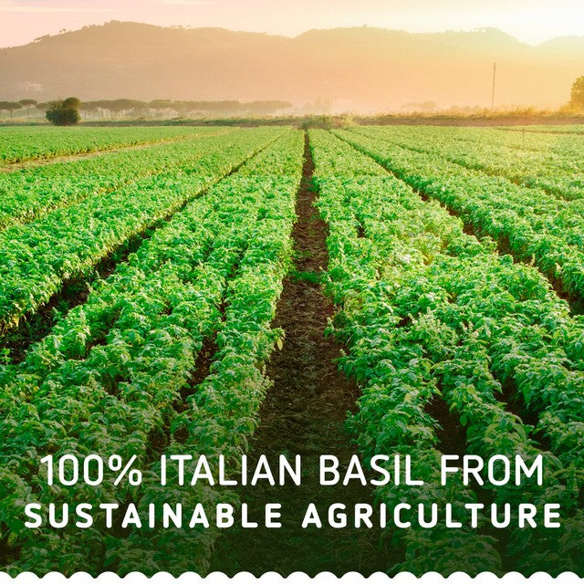 Barilla pesto sauce Genovese 190g - British product